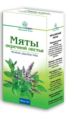 Мята Ментоловая (MÉNTHA \"LEMON\"). Купить Рассаду, Саженцы с доставкой в СПБ  Курьером. Отправка по РФ почтой