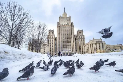 В МИД отвергли возможность восстановления ДРСМД в прежнем виде - РИА  Новости, 11.02.2021