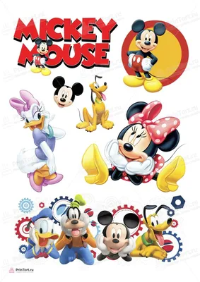 Картина на холсте для интерьера Микки маус, Mickey Mouse (5) 30х40 - купить  по низкой цене в интернет-магазине OZON (925690630)