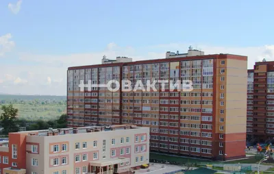 https://novosibirsk.cian.ru/rent/flat/297441084/