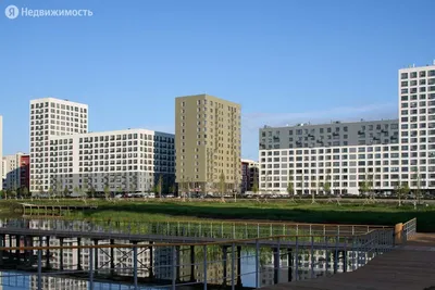 В \" Европейском\" Тюмени всё по-европейски | Жизньтакаяполосатая | Дзен