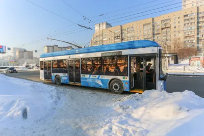 ЖК Стрижи 🏠 купить квартиру в Краснодаре, цены с официального сайта  застройщика ГК Точно, продажа квартир в новых домах жилого комплекса Стрижи  | Avaho.ru