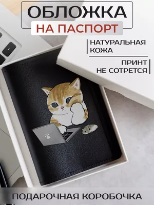 Смешные, позитивные фото кошек. Коты, которые рассмешат каждого 😂.  Интересная информация про кошек | Все про кошек | Дзен