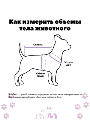 Лола