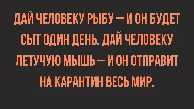 Анекдоты для детей: 50+ самых смешных шуток