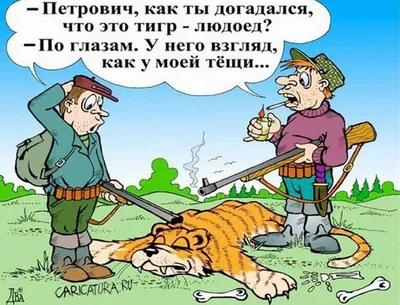 Бородатые анекдоты в комиксах (с автографом Алексея Суворова)» за 300 ₽ –  купить за 300 ₽ в интернет-магазине «Книжки с Картинками»