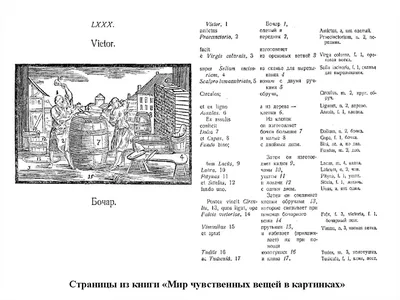 В Галерее XXI века откроется выставка «Мир чувственных вещей в картинках»