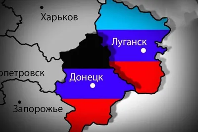 Точность такая, как нужно!» Украина сознательно убивает детей Донбасса | В  мире | Политика | Аргументы и Факты