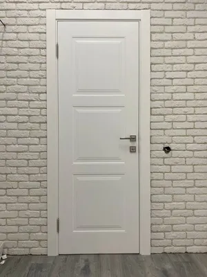 Металлические двери ТИТАН (зеркало) 2050/860/93 R/L купить в Москве, цена  на металлическую входную дверь