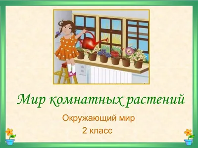 Мой мир комнатных растений! | Мир растений! Мои увлечения! | Дзен