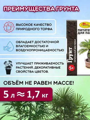 МИР ЦВЕТОВ И КОМНАТНЫХ РАСТЕНИЙ | Facebook