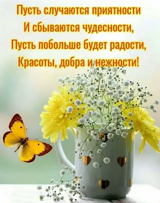 Доброе утро - это проснуться в хорошем настроении. Смотрите на мир  позитивно. Свежие мысли и хорошее настроение значительно упрощают жизнь.… |  Instagram