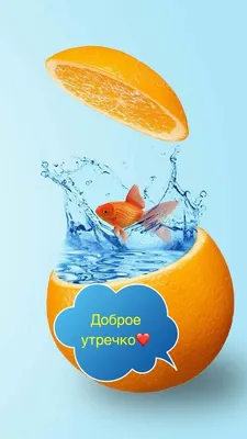 Pin by Marina on Мир позитива и Хорошего настроения! | Good morning photos,  Christian cards, Quotations