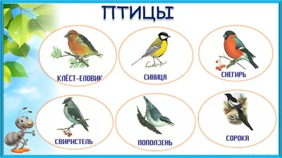 Это прекрасный огромный мир птиц , …» — создано в Шедевруме