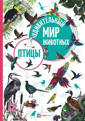 Это прекрасный мир птиц , детали …» — создано в Шедевруме