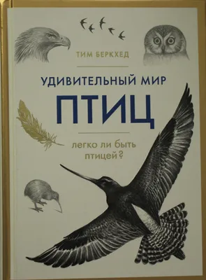 Орнитологическая экскурсия \"Мир птиц\" во Владивостоке 14 мая 2017 в  Информационно-туристский центр