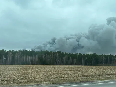 Наш Брянск·Ru | Мираторг