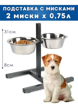 Керамические миски для собак на подставке Trixie 24643 Zooland.in.ua