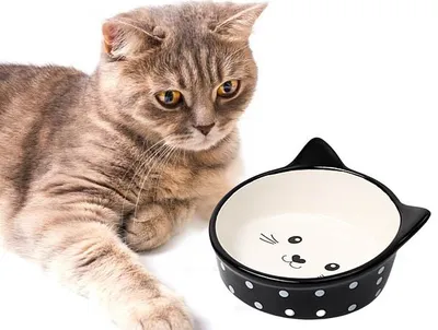 ᐉ Миска для собак ELS PET двойная на подставке с регулируемой высотой 2х1,3  л Черный (056-BLACK)