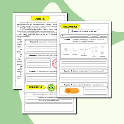 Тематический тест \"Митоз и мейоз\" 2022 Вариант по биологии