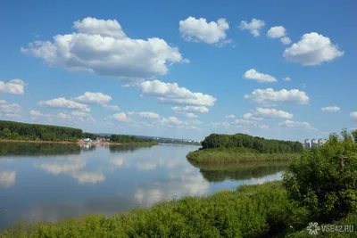 Ресторан Мюнхен Кемерово, Кемеровская область: цены, меню, адрес, фото,  отзывы