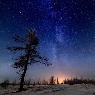 Млечный путь новосибирск фото фотографии