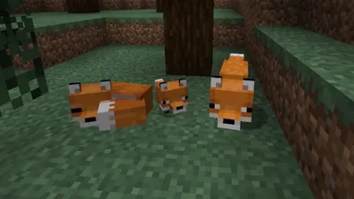 More Mobs Mod (1.20.4, 1.19.4) - More Mob's Heads - 9Minecraft.Net