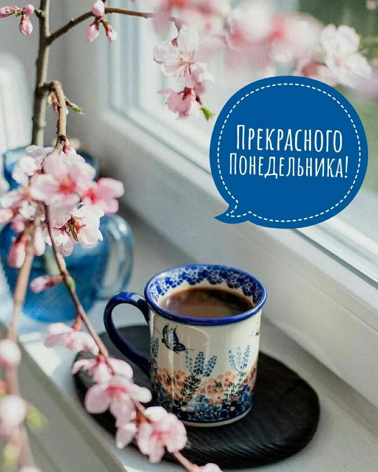 Открытки с добрым утром понедельника - поздравления в картинках с началом недели на вайбер - Телеграф Открытки с добрым утром понедельника - поздравления в картинках с началом недели на вайбер - Телеграф