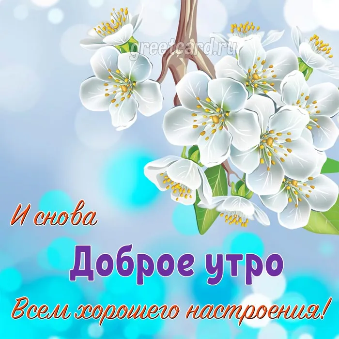 Открытки с добрым утром - страница № 4 Открытки с добрым утром - страница № 4