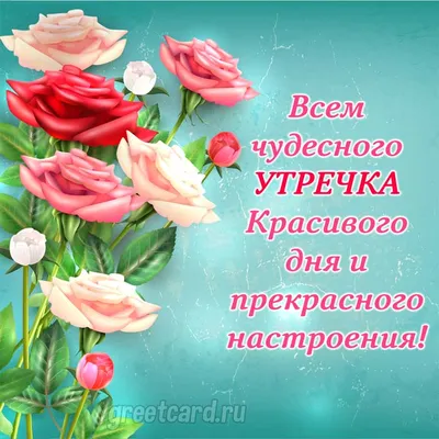 Осень... Доброе утро! Картинки со словами и стихами красивые - С добрым  утром! Хорошего дня и вечера! осен… | Позитивные цитаты, Вдохновляющие  цитаты, Мудрые цитаты