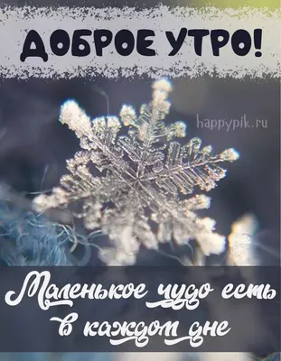 Доброе утро картинки красивые необычные нежные