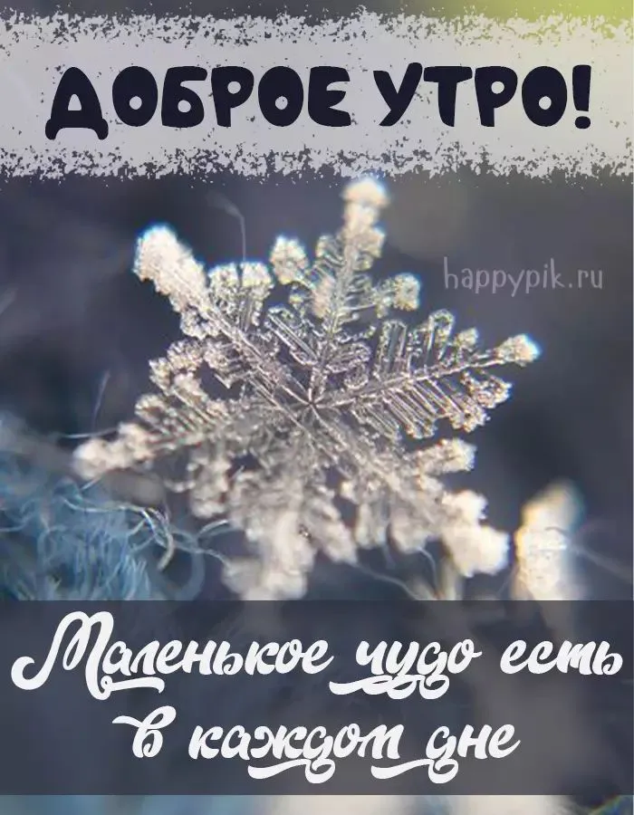 Доброе утро картинки красивые необычные нежные Доброе утро картинки красивые необычные нежные