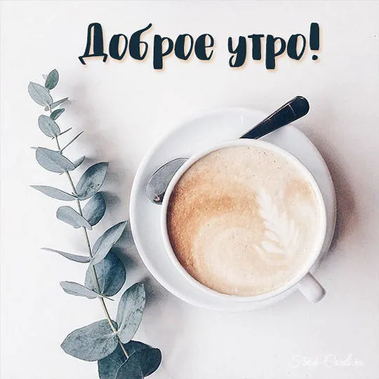 Картинки Доброе Утро - красивые открытки с добрым утром Картинки Доброе Утро - красивые открытки с добрым утром