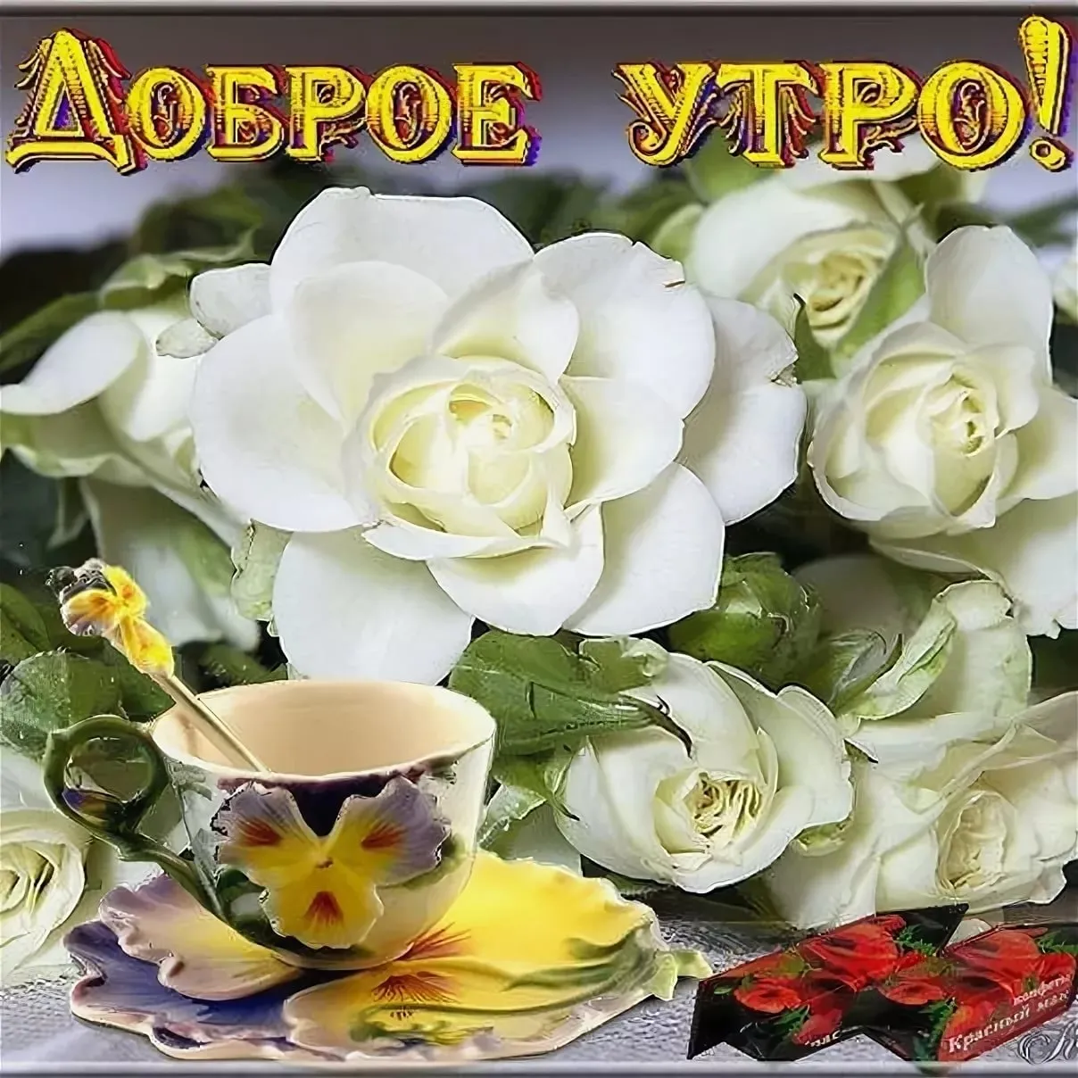 Необычные картинки \"С добрым утром\" 💌✨☕ (235 шт.) | Доброе утро, Смешные открытки, Веселые открытки Необычные картинки \"С добрым утром\" 💌✨☕ (235 шт.) | Доброе утро, Смешные открытки, Веселые открытки