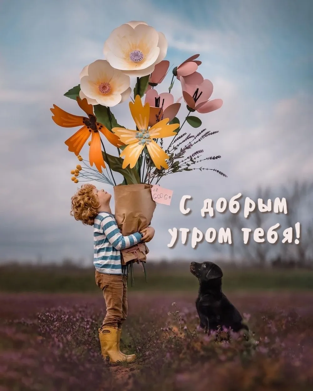 Картинки \"С Добрым Утром, Любимая!\" (200+) Картинки \"С Добрым Утром, Любимая!\" (200+)