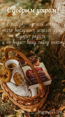 Доброе утро ноября картинки красивые с пожеланиями - 68 фото