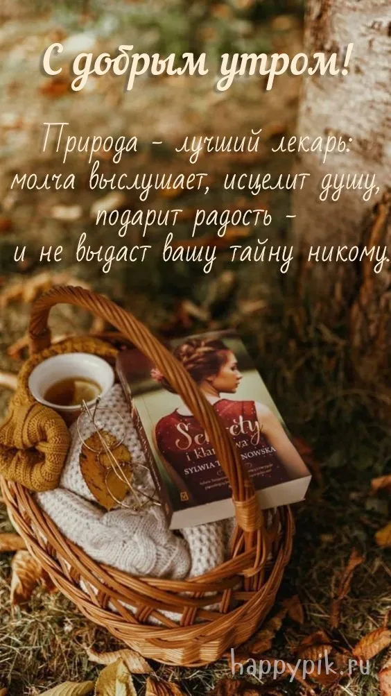 Доброе утро ноября картинки красивые с пожеланиями - 68 фото Доброе утро ноября картинки красивые с пожеланиями - 68 фото