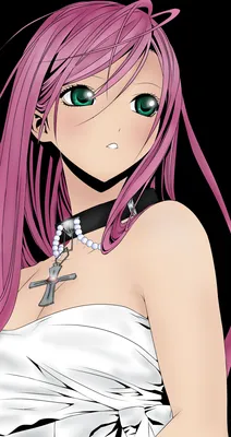 Список персонажей Rosario + Vampire — Википедия