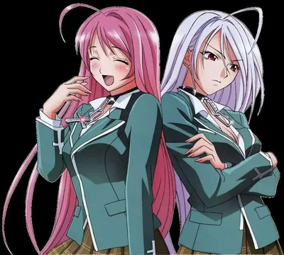 изготовленный на заказ Rosario Vampire Мока Акасия Костюм (Юбка) -  CosplayFU.com