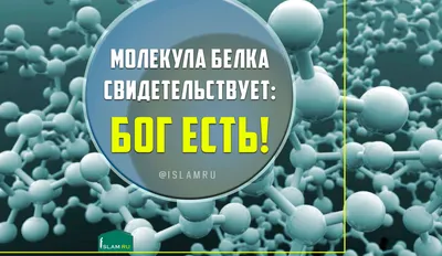 Женские духи Молекула 1 — цена женской туалетной воды и парфюма Escentric  Molecules Molecule 01 100 мл, 30 мл — купить оригинал в интернет-магазине  SpellSmell.ru