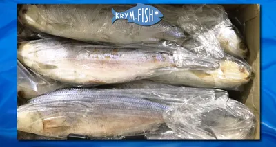 Молочная рыба🎣 Ханос, или молочная рыба – очень вкусная экзотическая для  наших широт и популярная в странах Юго-Восточной… | Instagram