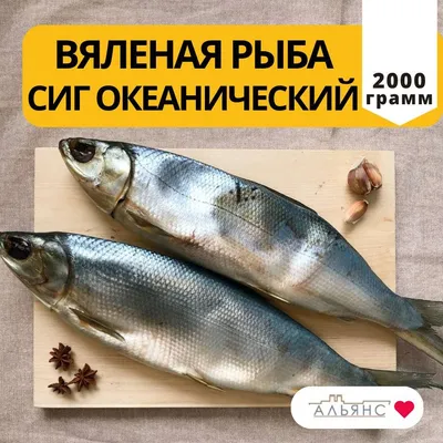 Молочная Рыба продукты,Индонезия Молочная Рыба поставщик