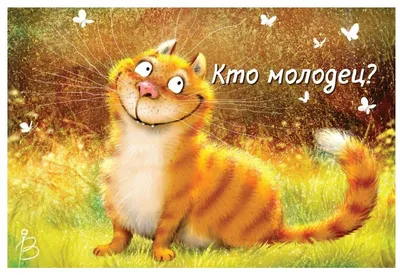 Котик ты молодец | ลูกแมวน่ารัก, แมวน่ารัก, มีมแมว