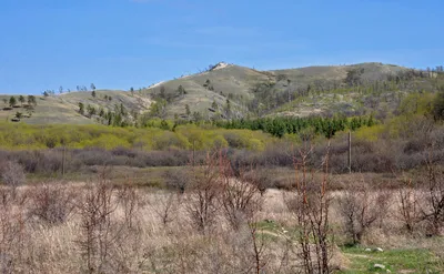 Молодецкий Курган фото фотографии