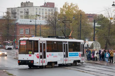 ФотоПечать на обоях в Перми. Фотообои на заказ срочно! РПК-\"АСП\" | Пермь