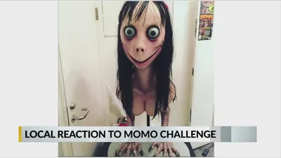 Momo challenge: The anatomy of a hoax