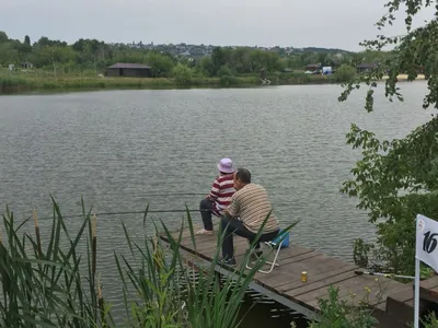 Фото: Монахов пруд, база, дом отдыха, Самойловский тупик, 6, Саратов —  Яндекс Карты