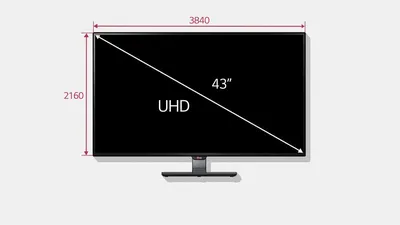 What are Typical Monitor Sizes and Which is Best?