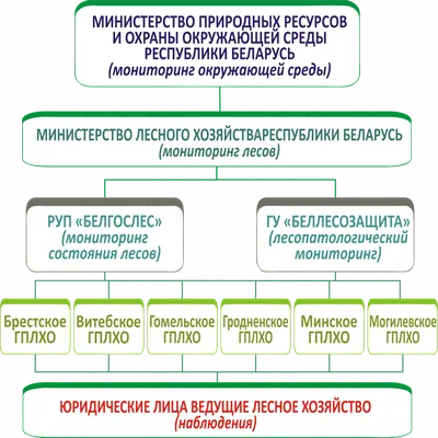 Удаленный мониторинг энергетических установок ГПЭС, ГПУ, ДЭУ | Сервисные  услуги - «Передовая Энергетика»