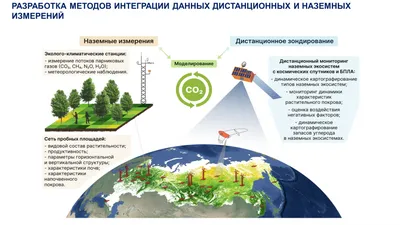 Фоновый мониторинг окружающей среды | ЦЕНТР ЭКОЛОГИЧЕСКИХ ЭКСПЕРТИЗ